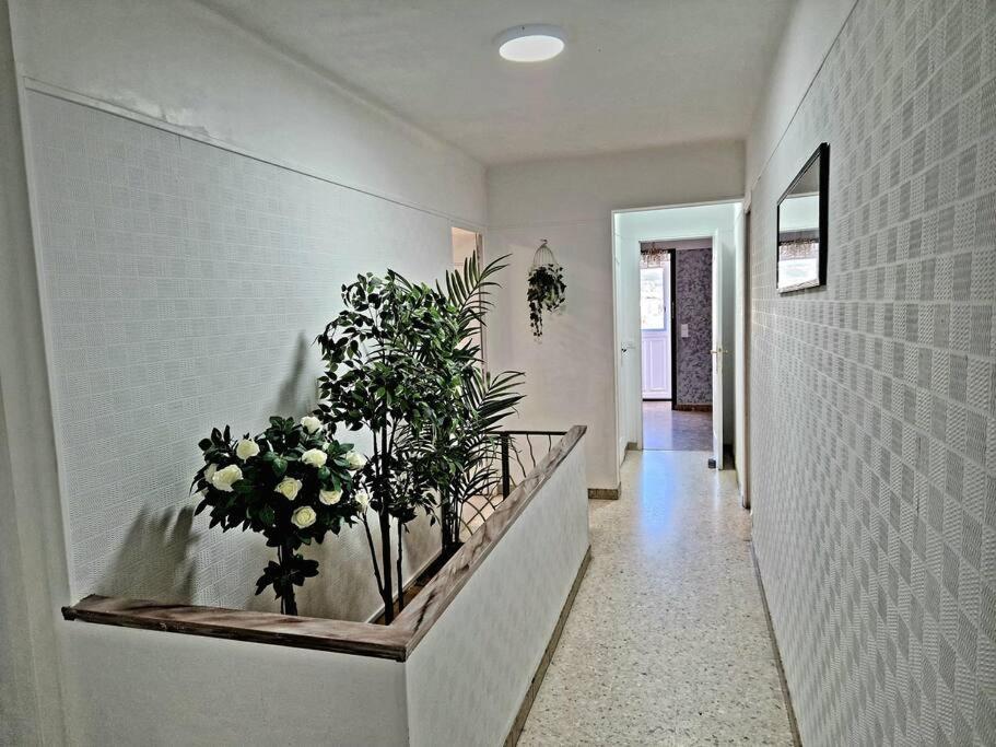 Villa Marseille Dans Les Hauteurs 외부 사진
